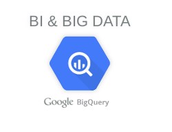 Google Business Intelligence